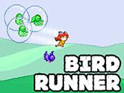 Bird Runner
