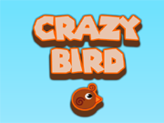 Crazy Bird